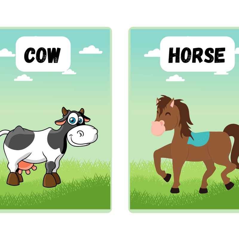 Farm Animal Flashcards