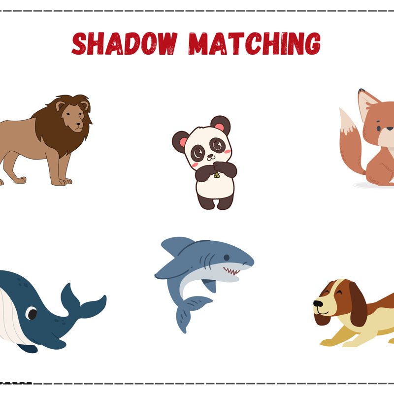 Shadow Matching